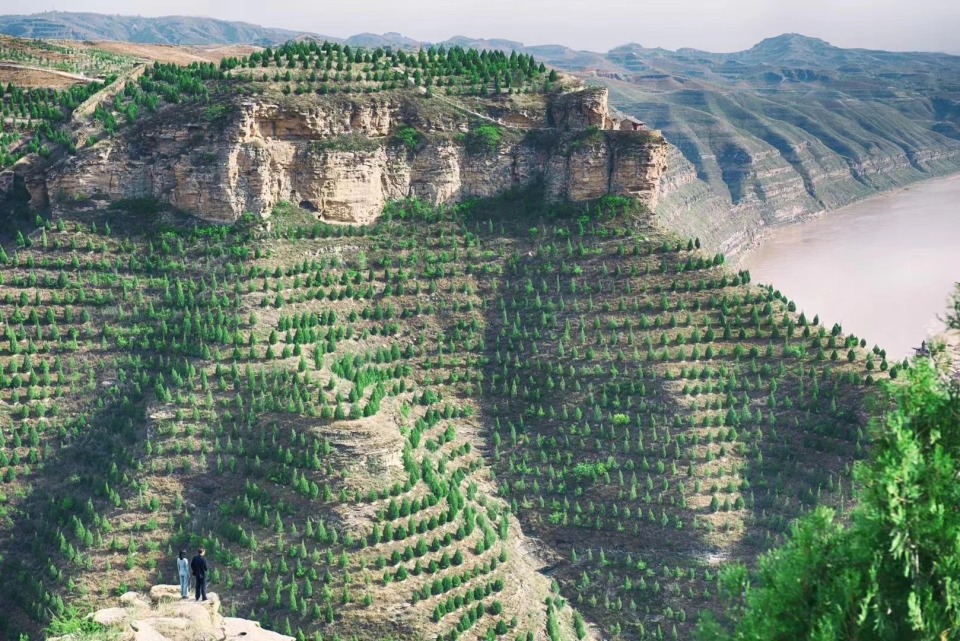绿诗绘山河绿林颂锦绣纪念我国退耕还林25周年影片山河披锦绣公映