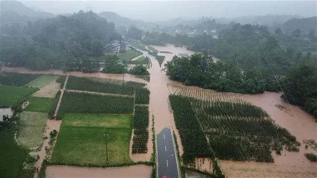 重庆暴雨造成35人死亡图片