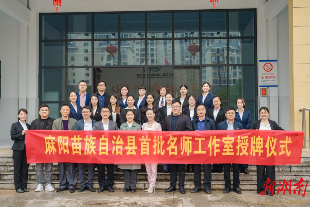 麻阳高端网站建设_(湖南省麻阳重点项目)