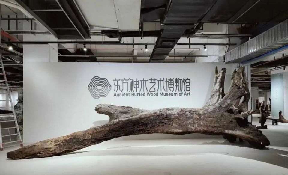 文昌东方神木艺术博物馆(来源海南省民间文艺家协会 )在"5·18国际