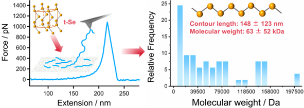 东北大学崔树勋/西南交大鲍雨Macromolecules：三方晶硒（t-Se）是由有限长度线性聚硒链构成的无机高分子晶体_腾讯新闻