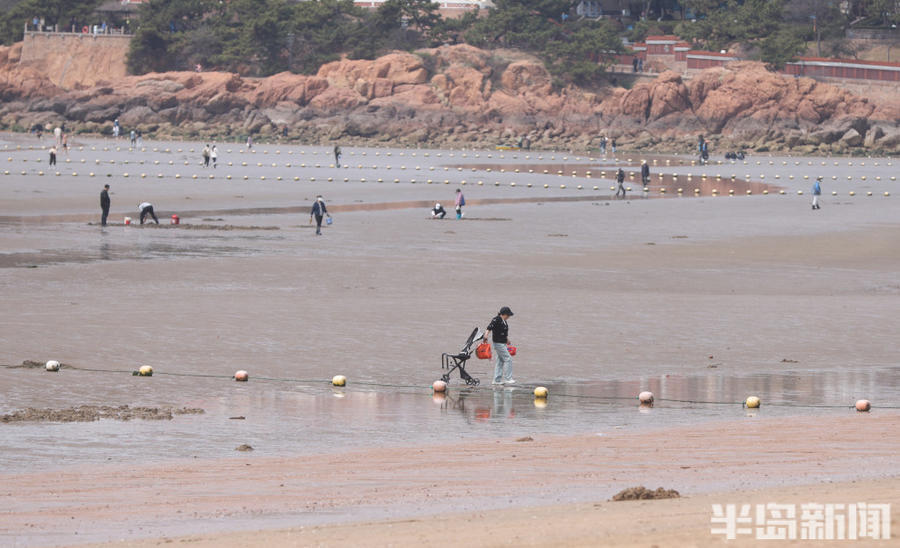 刘家湾赶海园退潮图片