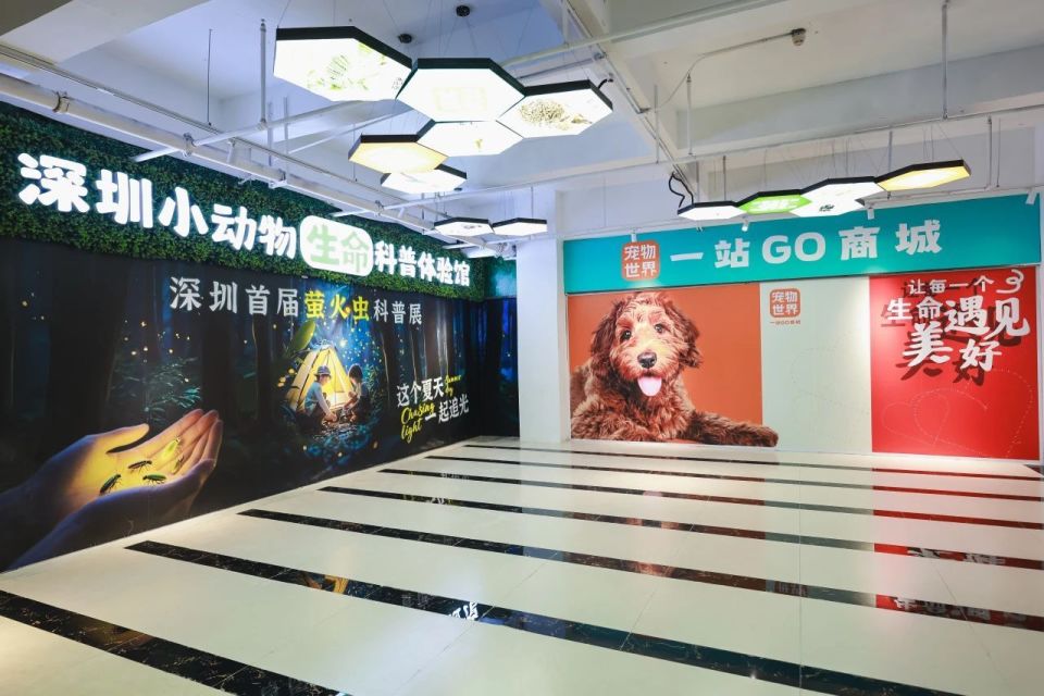 深圳中部又一波大浪来了！一口气打造4座“城”，发布31个新地标！深圳最时尚的镇、最潮的夜市、最宠的综合体、最好玩的电竞城等都来了_腾讯新闻