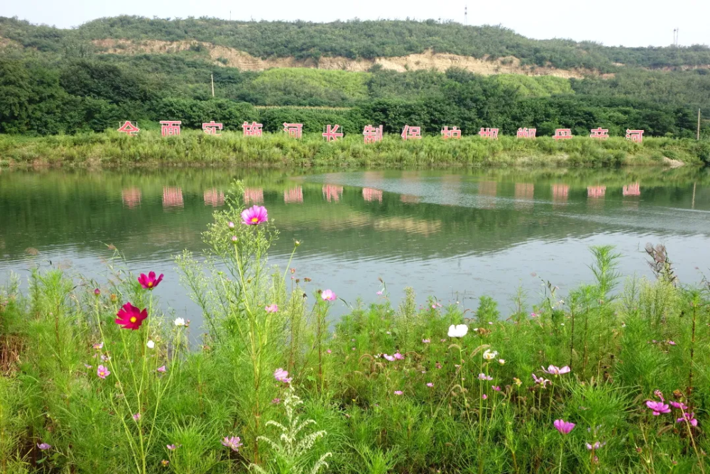 峰峰这个单位上榜!全市唯一
