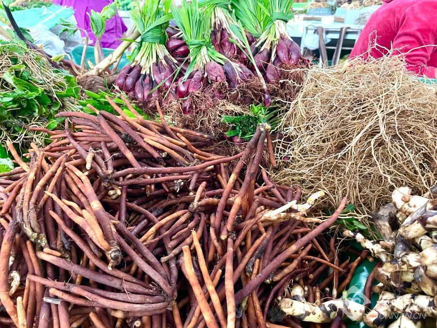 节庆云南丨普洱百草根节:食百草而得一夏安,一场百草根的狂欢