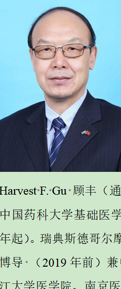 透化治疗什么iMeta ｜ 中国药科大学顾丰组-解析黄葵治疗糖尿病肾病机制_https://www.jmylbn.com_新闻资讯_第6张