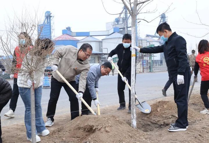 春来铺展千山绿!我市深入开展"绿满铁岭"专项行动