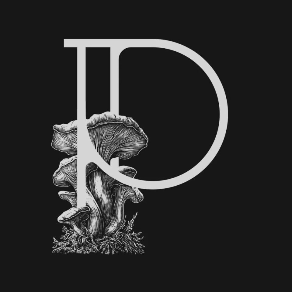 英文字母设计欣赏