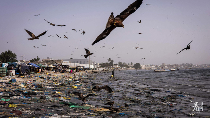 看世界塞内加尔之殇汉恩湾垃圾成堆污染严重