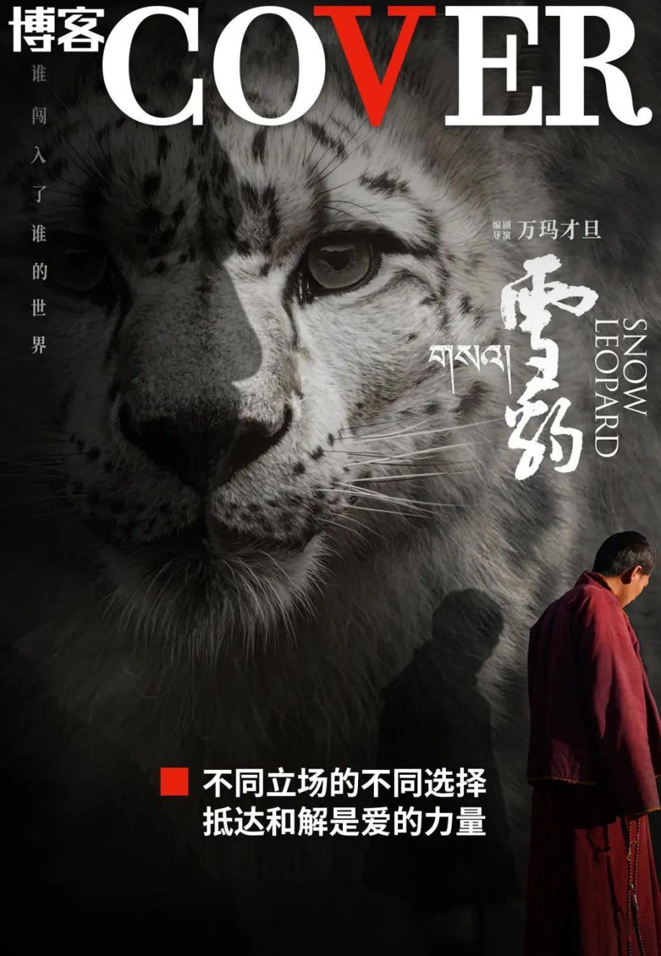 万马才旦和《雪豹》教会我们的事_腾讯新闻