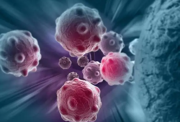 蒲公英可消灭98%"癌细胞",消结节?医生说出了答案_腾讯新闻