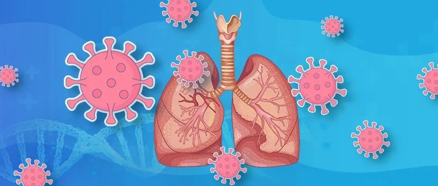 权威期刊推荐的4种食物,坚持3周,修复呼吸系统,提高力