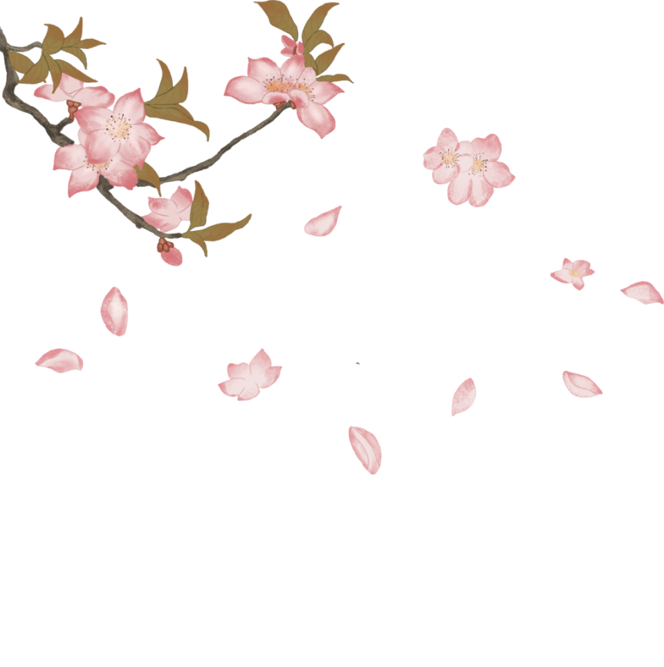 在他们眼中,汉中是这样的!