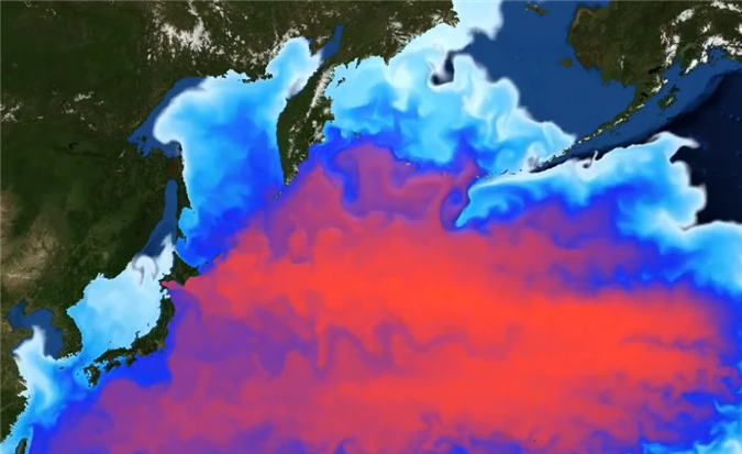 分析发现,日本从福岛向大海排放后,核废水会沿着洋流方向沿太平洋环行