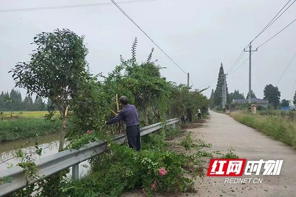 南县青树嘴镇村民代表作先锋人居环境换新颜