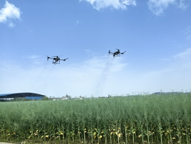 壁纸 草原 桌面 750_563