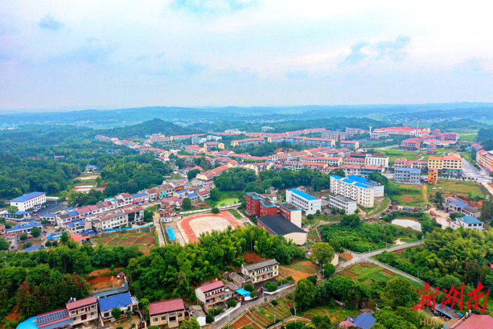 大成桥镇:三产融合气象新 民富村美谱新篇-腾讯新闻