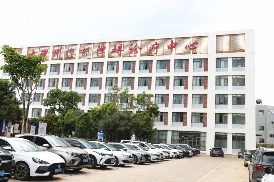 大理州卫生健康委员会批复同意大理州第二人民医院建立"大理州抑郁