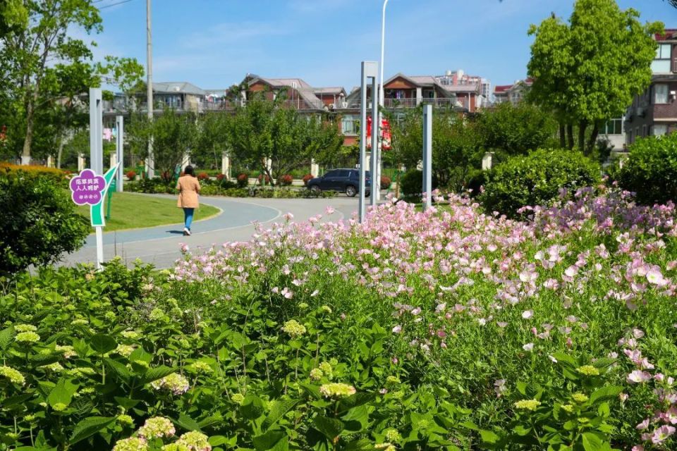 家门口逛公园丨今天我们去九里亭街心花园