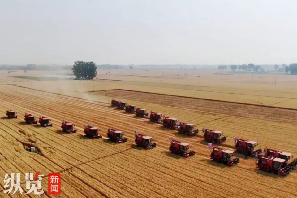 又美又飒!今晚,河北90后姑娘上了央视《新闻联播》