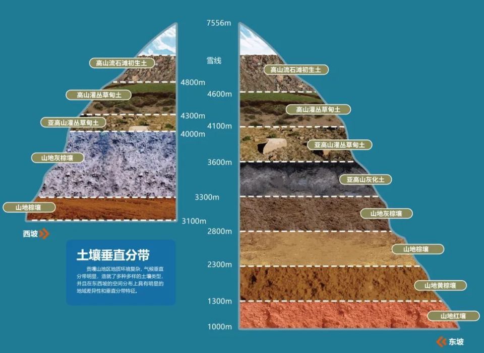 贡嘎山保护区生物多样性展示馆开馆_腾讯新闻