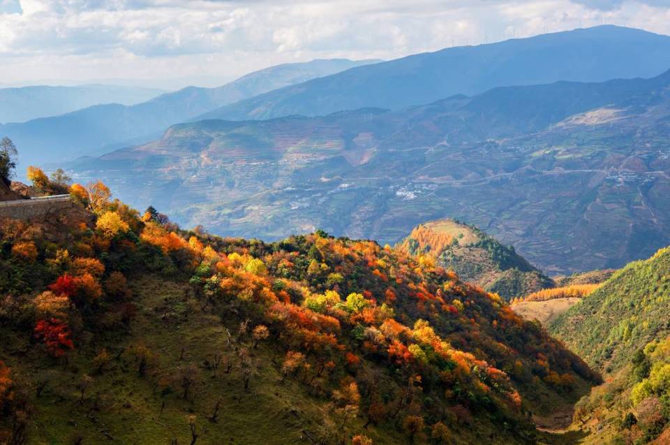 图集丨层林尽染四川金阳县百草坡秋色醉人