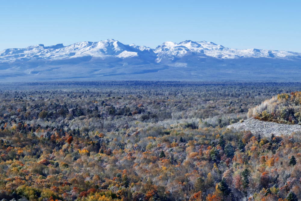 长白山探春之旅,一起"上春山"