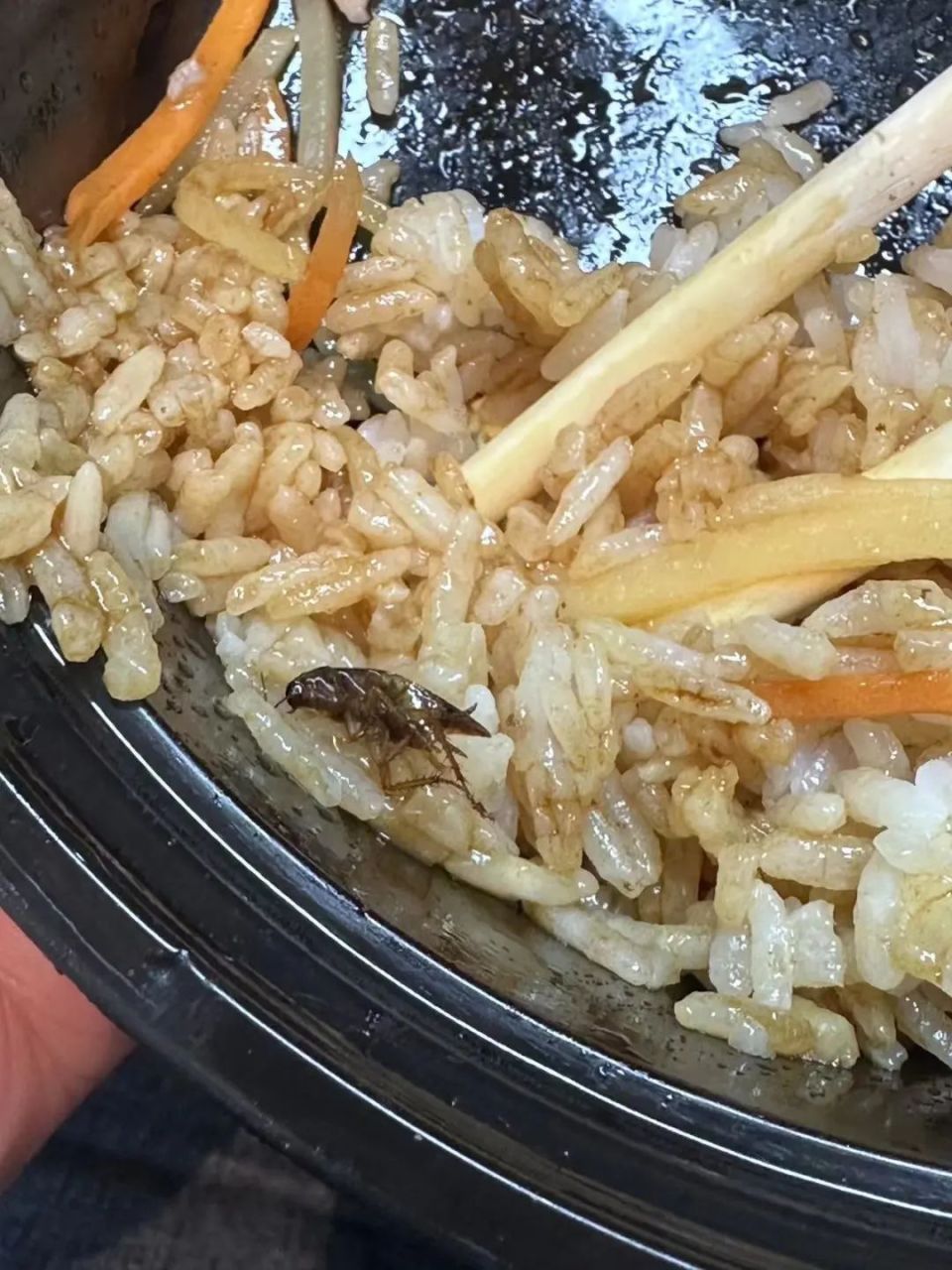 知名连锁店吃出蟑螂!深圳男子索赔遭拒