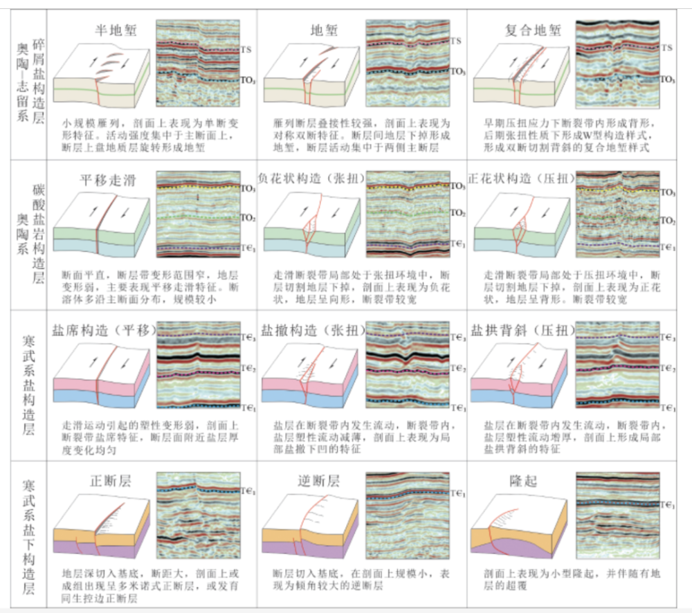 左亮等:哈拉哈塘地區超深層走滑斷裂構造變形特徵及其石油地質意義