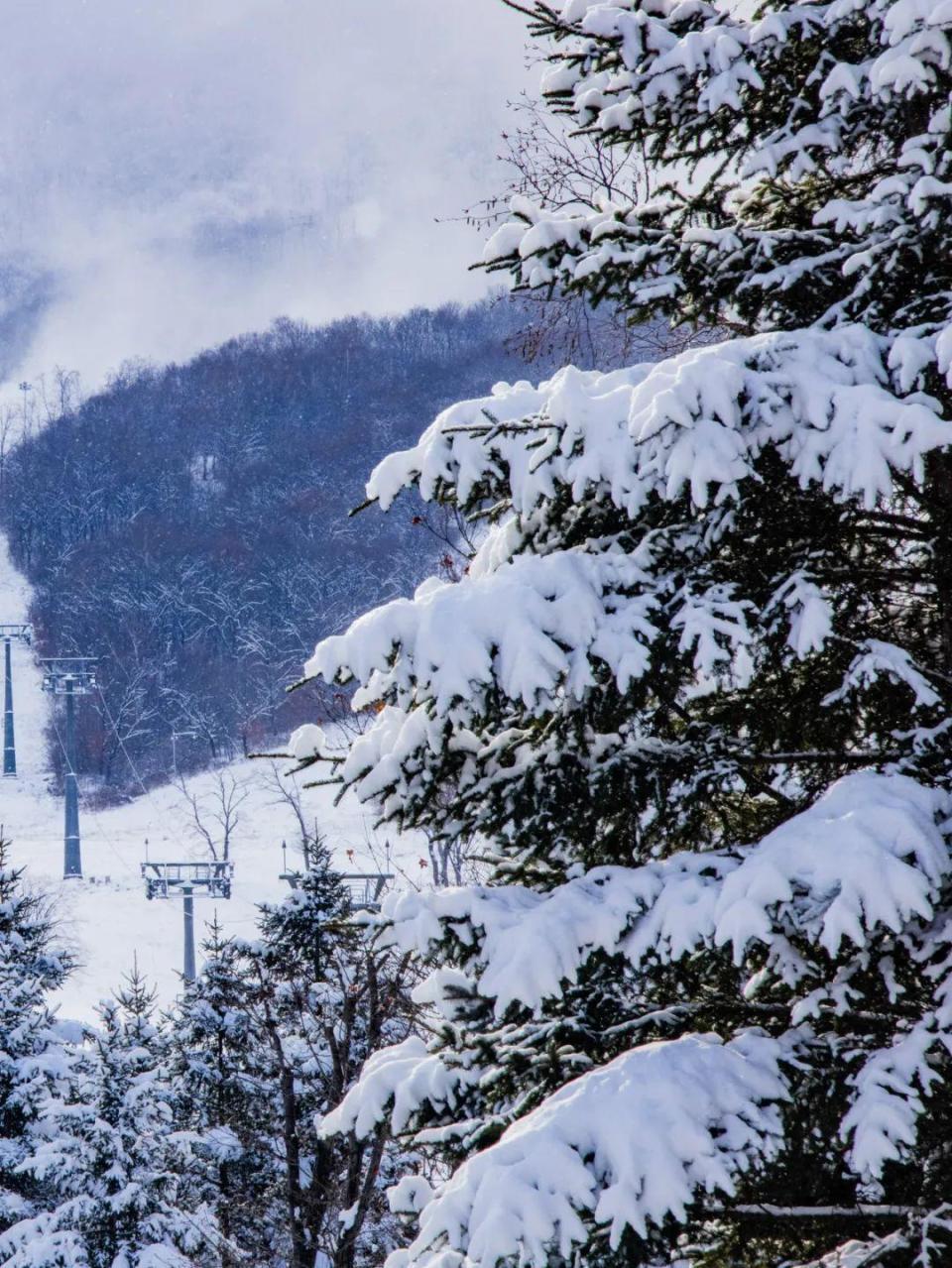 小雪景图片大全唯美图片