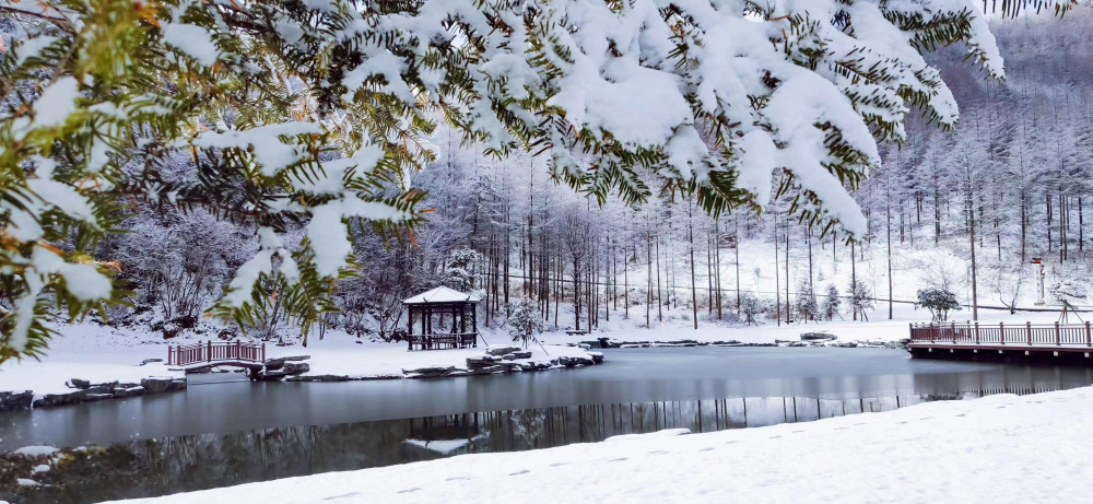 春雪的图片风景图片