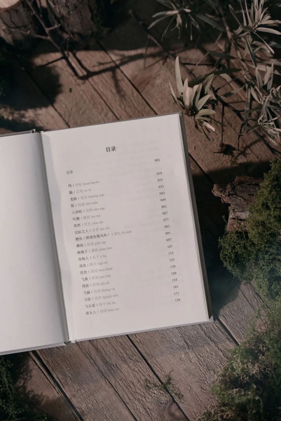 一份好奇心杂录,或者作为意象式的安南时光切片