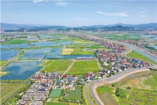 山下湖鎮楓江村鳥瞰圖五洩鎮荷花節鋪展大美鄉村