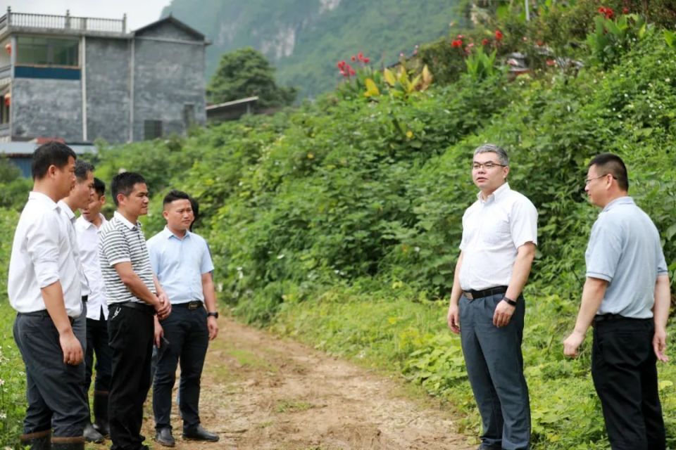 5月11日,在融安县长安镇大坡村,县委书记,县长于福坚(右二)在了解土地