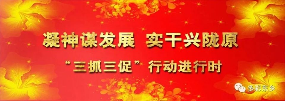 州委书记李海默带领观摩团先后到永靖县,东乡县,广河县,和政县,康乐县