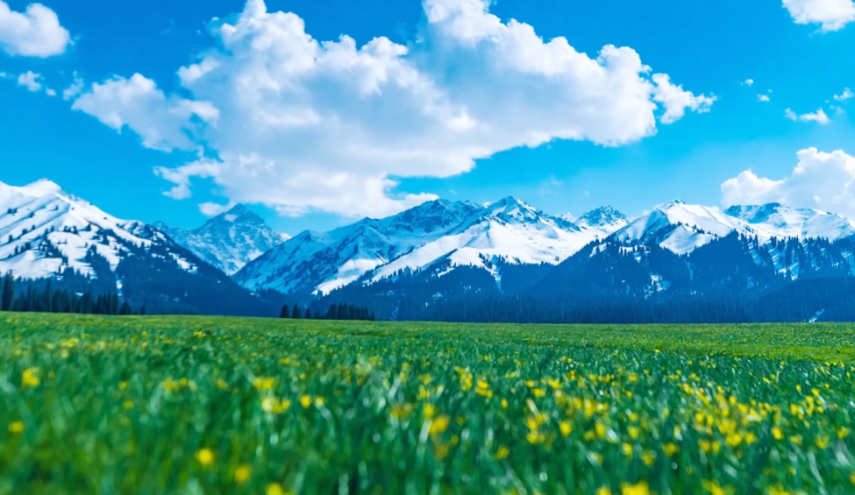 邂逅库尔德宁之美 来一次草原上的浪漫约会~_腾讯新闻