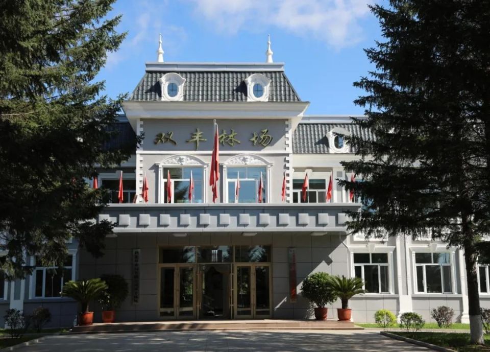 【停伐十年看森工】鹤北:见证十年蝶变 描绘民生幸福画卷