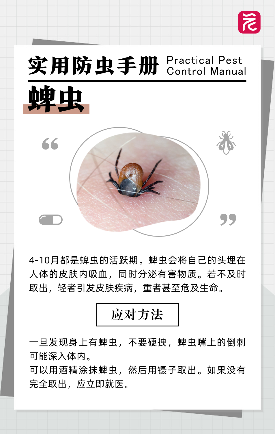 蚊子,螨虫,隐翅虫,蜱虫,恙虫……夏季蚊虫活跃,人极易遭到叮咬感染多