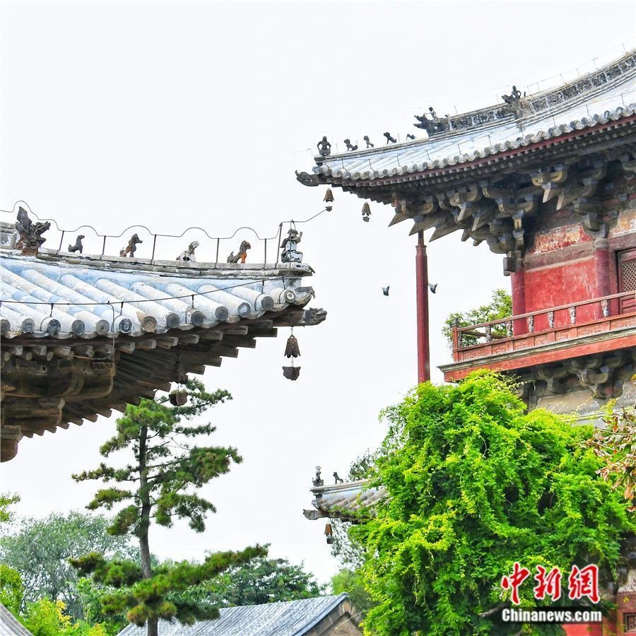 中新社记者:有人认为日本奈良的东大寺与天津蓟州