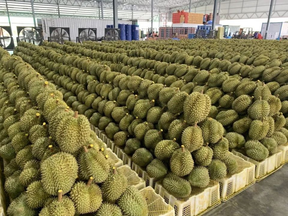 榴莲可以带进地铁吗?广州地铁回应