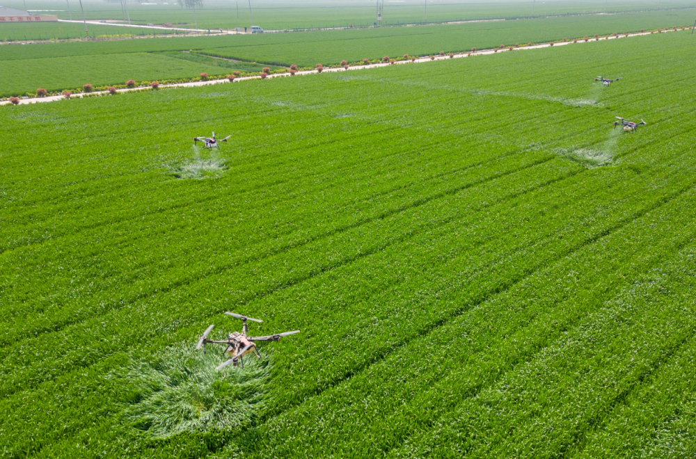 “退林还耕”应区分轻重缓急，莫让农民“吃亏”头条快报-313啦实用网