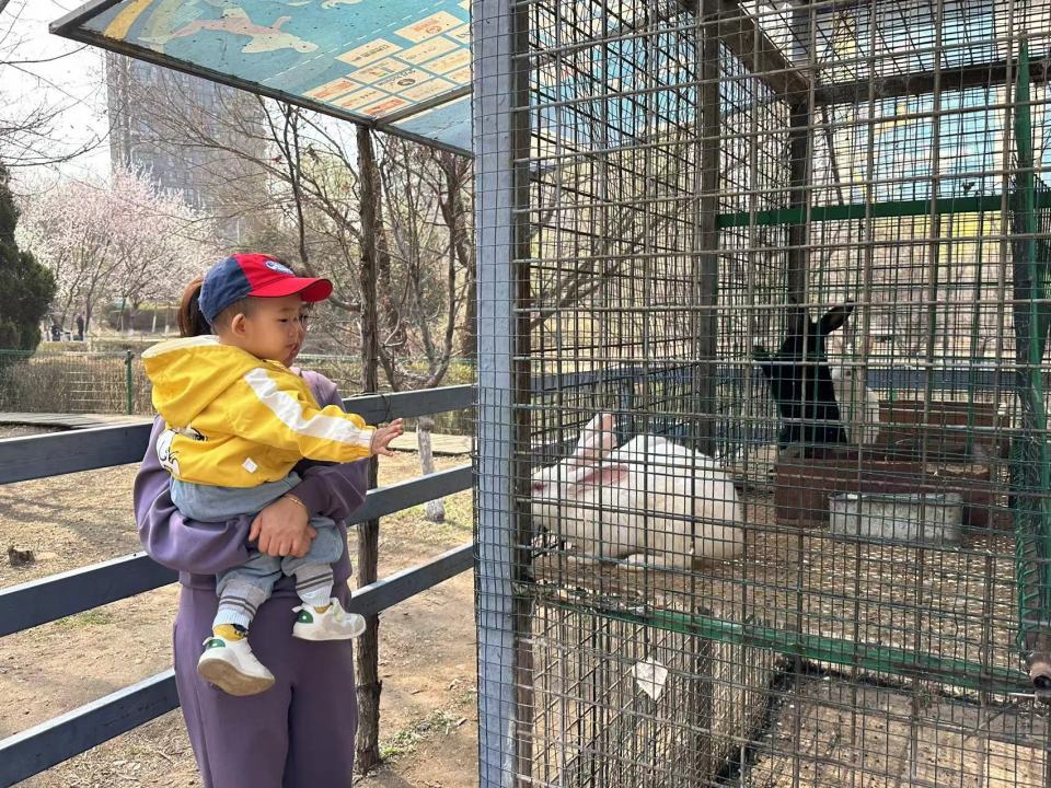 踏青,赏花 近距离看小动物 去长白岛森林公园 赴一场春日好风光