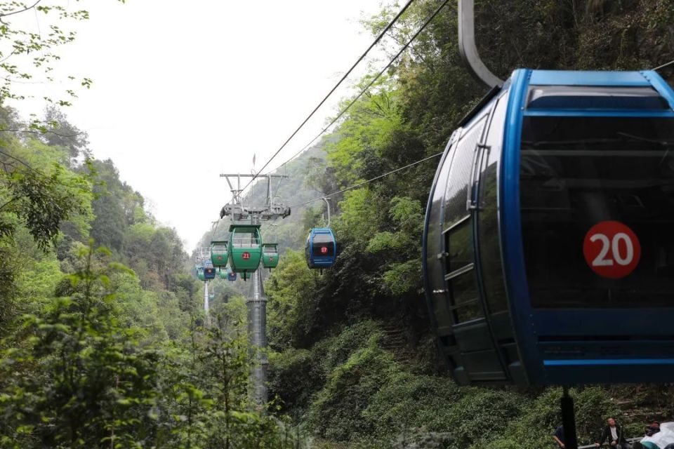 上万名重庆游客将不定期来到绥阳双河洞,红果树,卧龙湖,清溪峡等景区