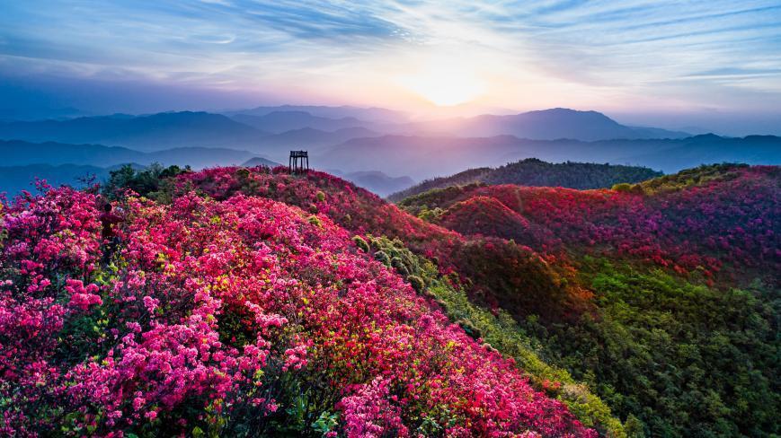 湘东区广寒寨图片