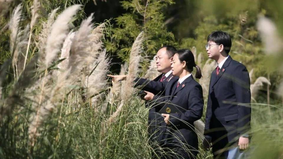 新时代检察英模｜刘玲：挑起公益诉讼“破冰”重担_腾讯新闻