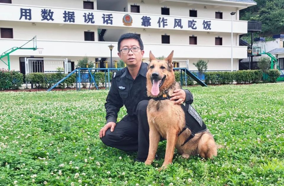 训犬员张健:别样的"战友情"诠释独特的"藏蓝梦"