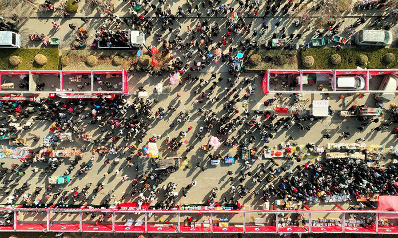 2024年2月17日,正值农历正月初八,这一天,平原县恩城鸽子会如期而至