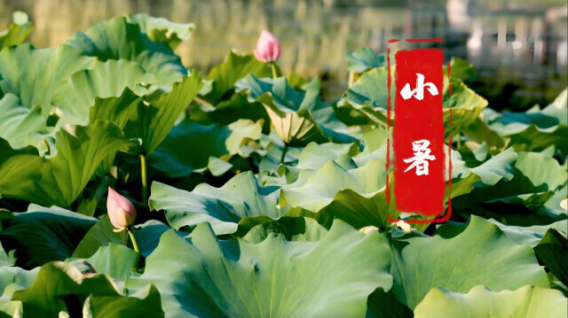 小暑将至！最热时段开启，这些人群冬病夏治的关键期你知道吗？