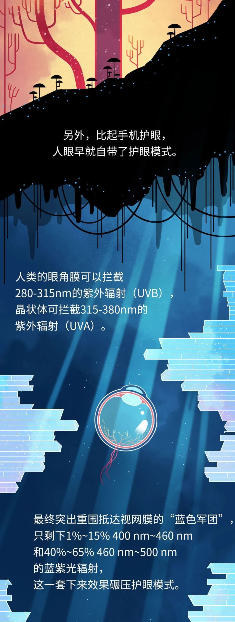 那些经常用手机"护眼模式"的人,后来都怎么样了?