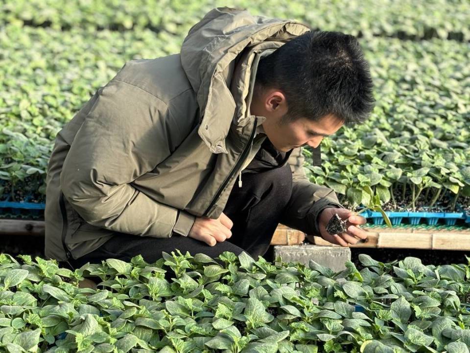 "95后"海归返乡成都创业 追光"田园梦"|我们村的年轻人